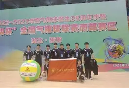  直拍超级张继科 